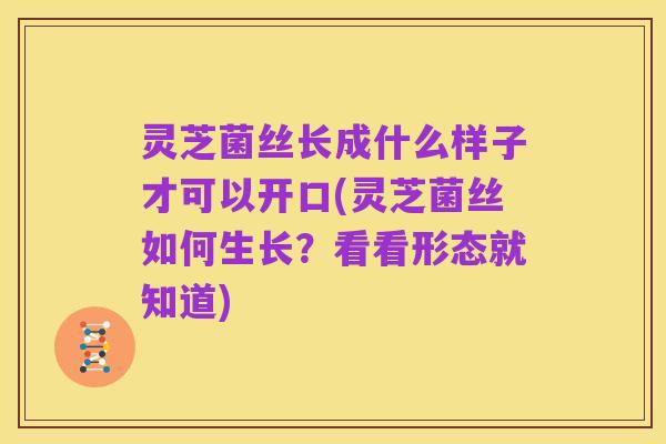 灵芝菌丝长成什么样子才可以开口(灵芝菌丝如何生长？看看形态就知道)