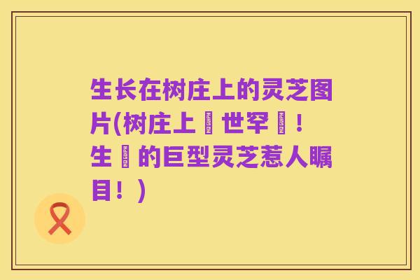 生长在树庄上的灵芝图片(树庄上現世罕見!生長的巨型灵芝惹人瞩目!)