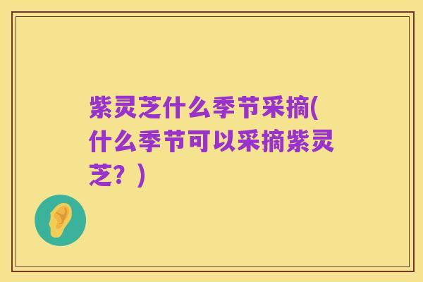 紫灵芝什么季节采摘(什么季节可以采摘紫灵芝?)