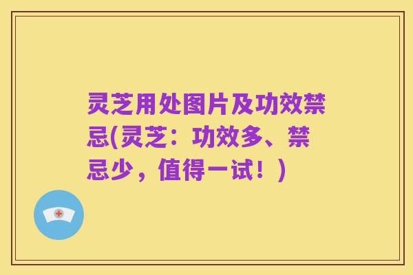 灵芝用处图片及功效禁忌(灵芝:功效多、禁忌少,值得一试!)