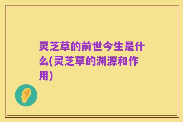 灵芝草的前世今生是什么(灵芝草的渊源和作用)