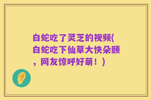 白蛇吃了灵芝的视频(白蛇吃下仙草大快朵颐,网友惊呼好萌!)