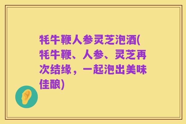 牦牛鞭人参灵芝泡酒(牦牛鞭、人参、灵芝再次结缘,一起泡出美味佳酿)
