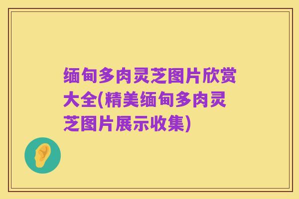 缅甸多肉灵芝图片欣赏大全(精美缅甸多肉灵芝图片展示收集)