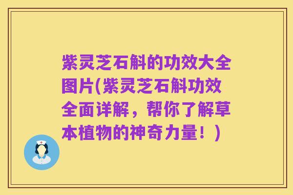 紫灵芝石斛的功效大全图片(紫灵芝石斛功效全面详解,帮你了解草本植物的神奇力量!)