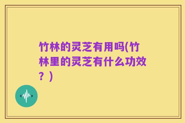 竹林的灵芝有用吗(竹林里的灵芝有什么功效？)