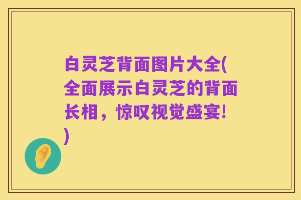 白灵芝背面图片大全(全面展示白灵芝的背面长相,惊叹视觉盛宴!)