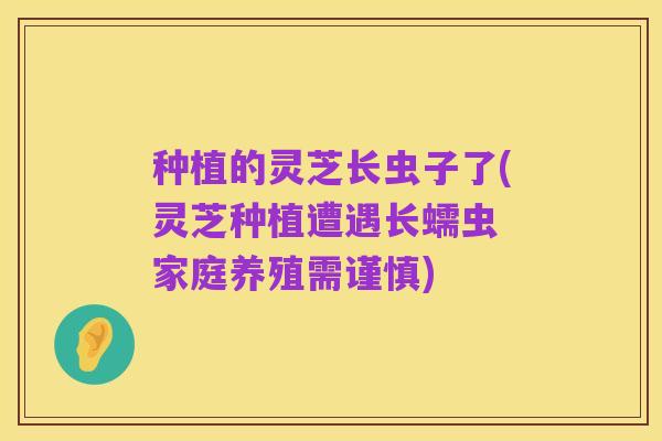 种植的灵芝长虫子了(灵芝种植遭遇长蠕虫 家庭养殖需谨慎)