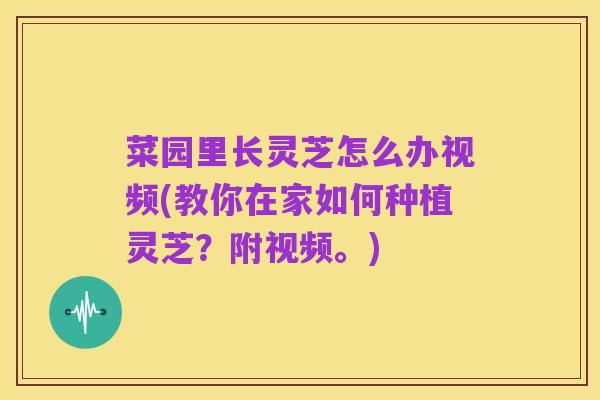 菜园里长灵芝怎么办视频(教你在家如何种植灵芝?附视频。)