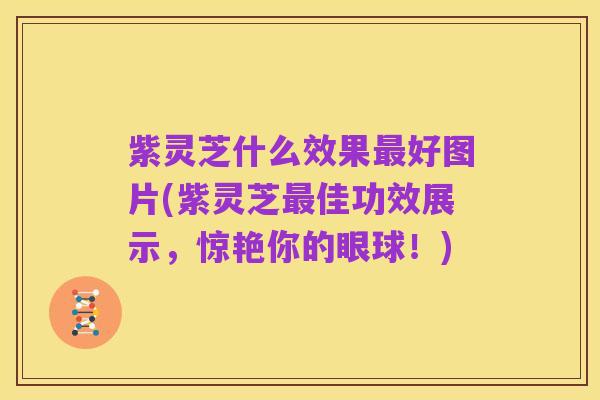 紫灵芝什么效果最好图片(紫灵芝最佳功效展示，惊艳你的眼球！)