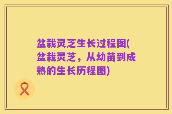 盆栽灵芝生长过程图(盆栽灵芝,从幼苗到成熟的生长历程图)
