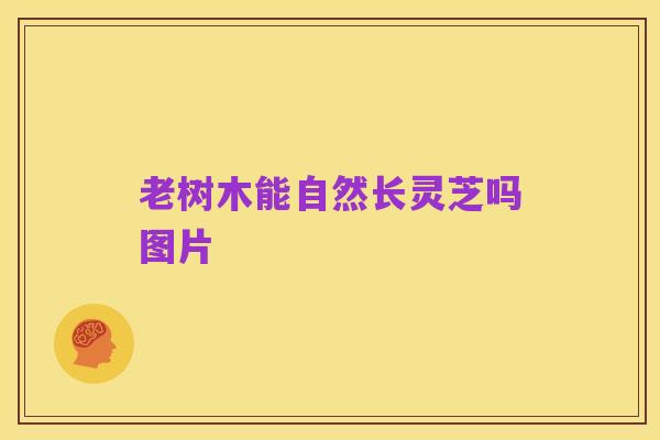 老树木能自然长灵芝吗图片