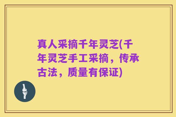 真人采摘千年灵芝(千年灵芝手工采摘，传承古法，质量有保证)