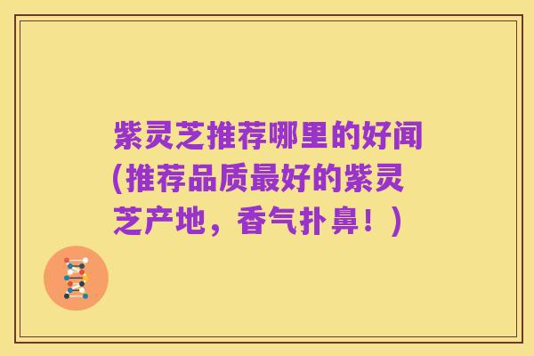 紫灵芝推荐哪里的好闻(推荐品质最好的紫灵芝产地，香气扑鼻！)