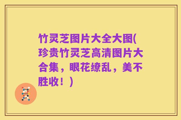 竹灵芝图片大全大图(珍贵竹灵芝高清图片大合集，眼花缭乱，美不胜收！)