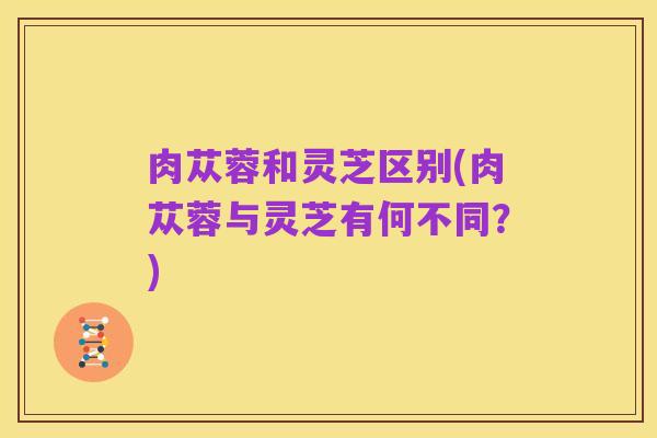肉苁蓉和灵芝区别(肉苁蓉与灵芝有何不同?)