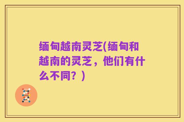 缅甸越南灵芝(缅甸和越南的灵芝,他们有什么不同?)