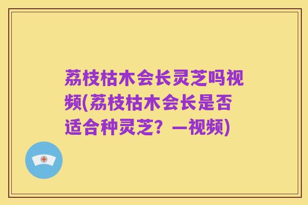 荔枝枯木会长灵芝吗视频(荔枝枯木会长是否适合种灵芝?—视频)