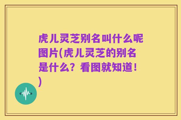 虎儿灵芝别名叫什么呢图片(虎儿灵芝的别名是什么？看图就知道！)