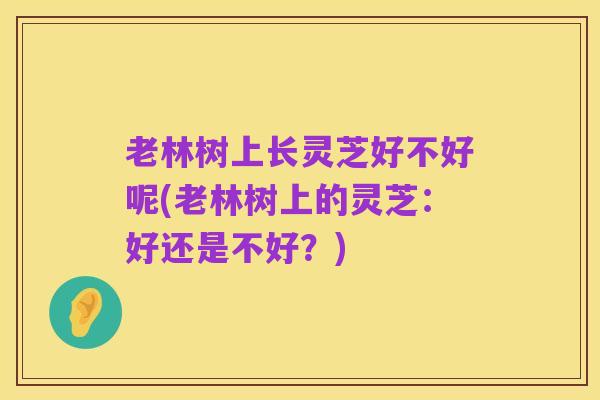 老林树上长灵芝好不好呢(老林树上的灵芝:好还是不好?)