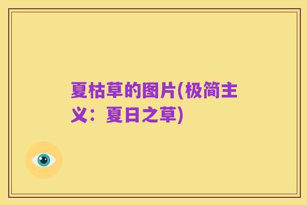 夏枯草的图片(极简主义：夏日之草)