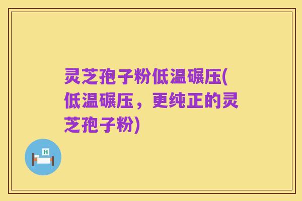 灵芝孢子粉低温碾压(低温碾压,更纯正的灵芝孢子粉)