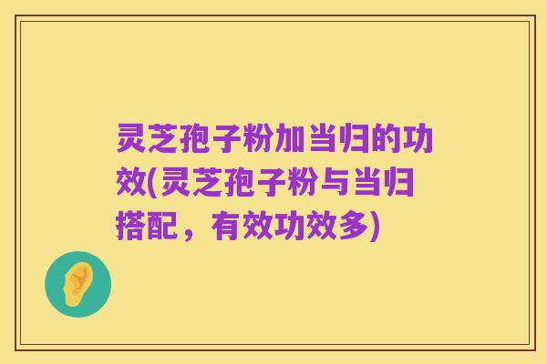 灵芝孢子粉加当归的功效(灵芝孢子粉与当归搭配,有效功效多)