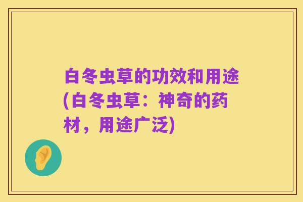白冬虫草的功效和用途(白冬虫草:神奇的药材,用途广泛)