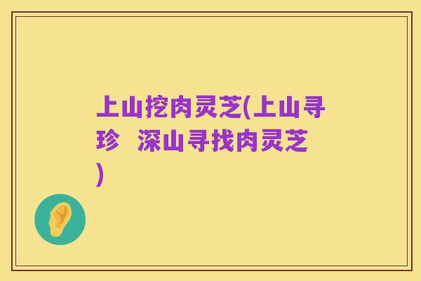 上山挖肉灵芝(上山寻珍 深山寻找肉灵芝)