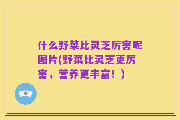 什么野菜比灵芝厉害呢图片(野菜比灵芝更厉害,营养更丰富!)