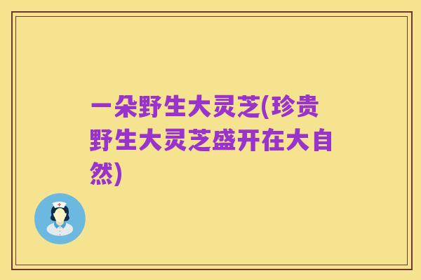 一朵野生大灵芝(珍贵野生大灵芝盛开在大自然)