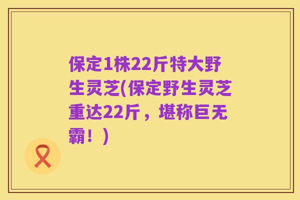 保定1株22斤特大野生灵芝(保定野生灵芝重达22斤,堪称巨无霸!)