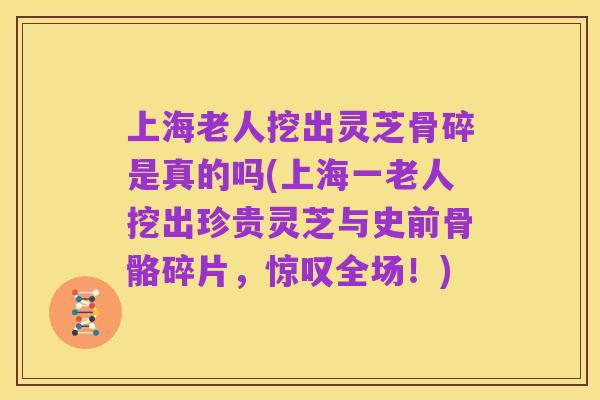 上海老人挖出灵芝骨碎是真的吗(上海一老人挖出珍贵灵芝与史前骨骼碎片,惊叹全场!)