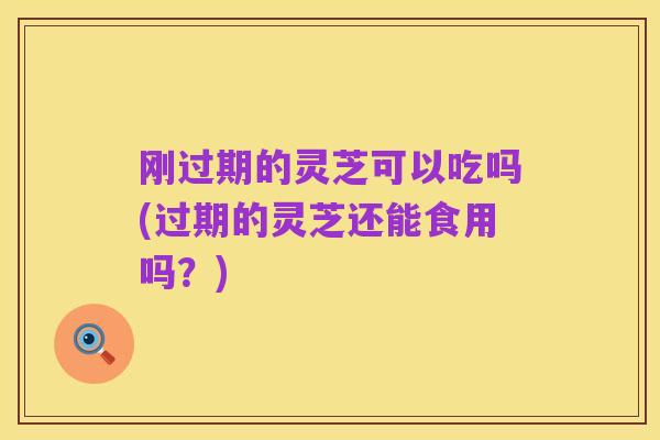 刚过期的灵芝可以吃吗(过期的灵芝还能食用吗？)