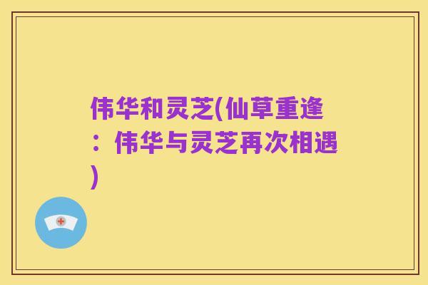 伟华和灵芝(仙草重逢:伟华与灵芝再次相遇)