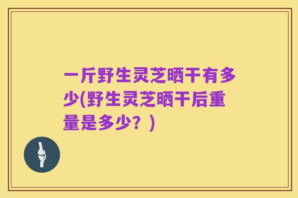 一斤野生灵芝晒干有多少(野生灵芝晒干后重量是多少?)