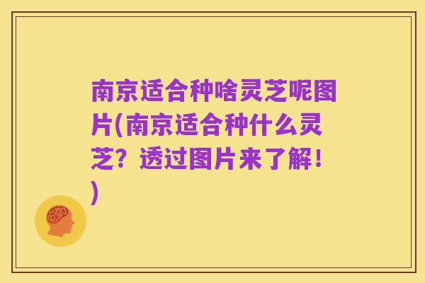 南京适合种啥灵芝呢图片(南京适合种什么灵芝？透过图片来了解！)