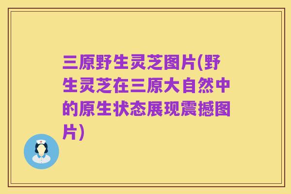 三原野生灵芝图片(野生灵芝在三原大自然中的原生状态展现震撼图片)