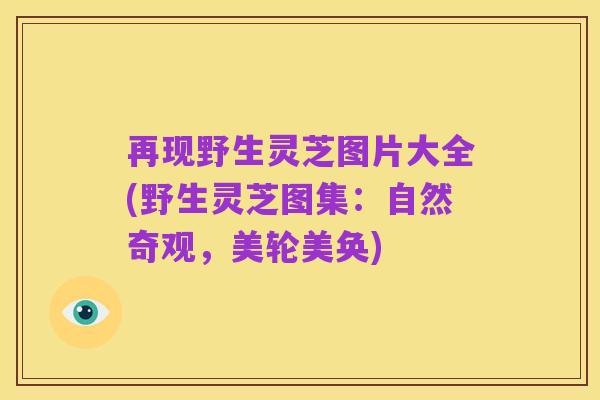 再现野生灵芝图片大全(野生灵芝图集:自然奇观,美轮美奂)