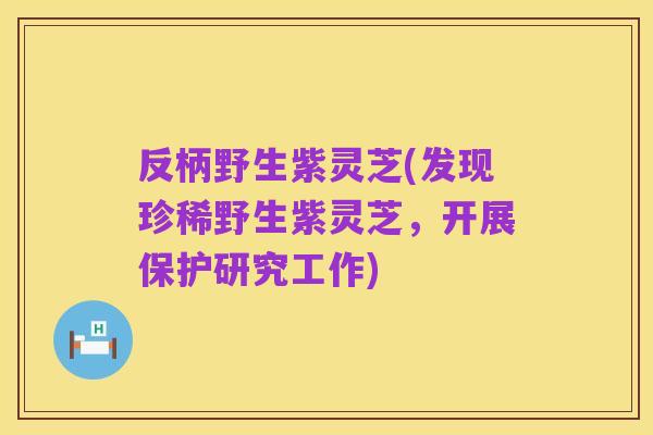 反柄野生紫灵芝(发现珍稀野生紫灵芝,开展保护研究工作)