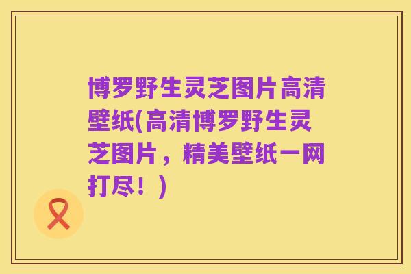 博罗野生灵芝图片高清壁纸(高清博罗野生灵芝图片,精美壁纸一网打尽!)