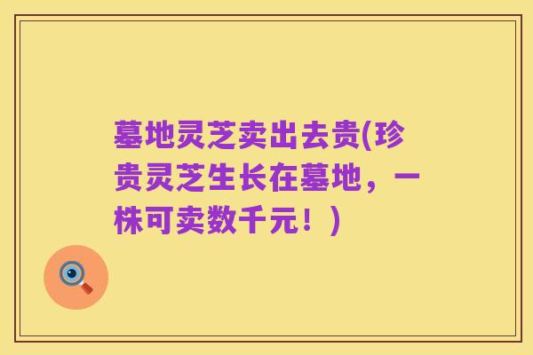 墓地灵芝卖出去贵(珍贵灵芝生长在墓地,一株可卖数千元!)