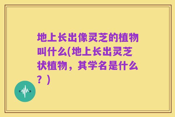 地上长出像灵芝的植物叫什么(地上长出灵芝状植物,其学名是什么?)