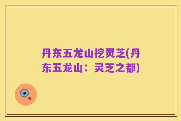 丹东五龙山挖灵芝(丹东五龙山：灵芝之都)