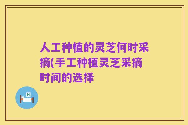 人工种植的灵芝何时采摘(手工种植灵芝采摘时间的选择