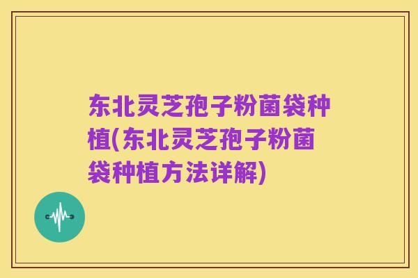 东北灵芝孢子粉菌袋种植(东北灵芝孢子粉菌袋种植方法详解)