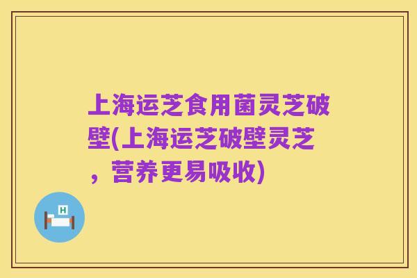 上海运芝食用菌灵芝破壁(上海运芝破壁灵芝，营养更易吸收)