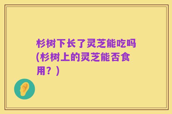 杉树下长了灵芝能吃吗(杉树上的灵芝能否食用?)