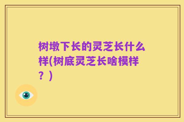 树墩下长的灵芝长什么样(树底灵芝长啥模样?)