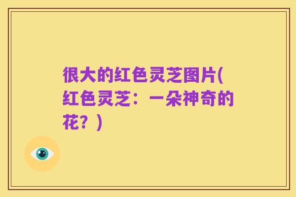 很大的红色灵芝图片(红色灵芝:一朵神奇的花?)
